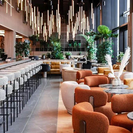 酒店 Pullman 里昂